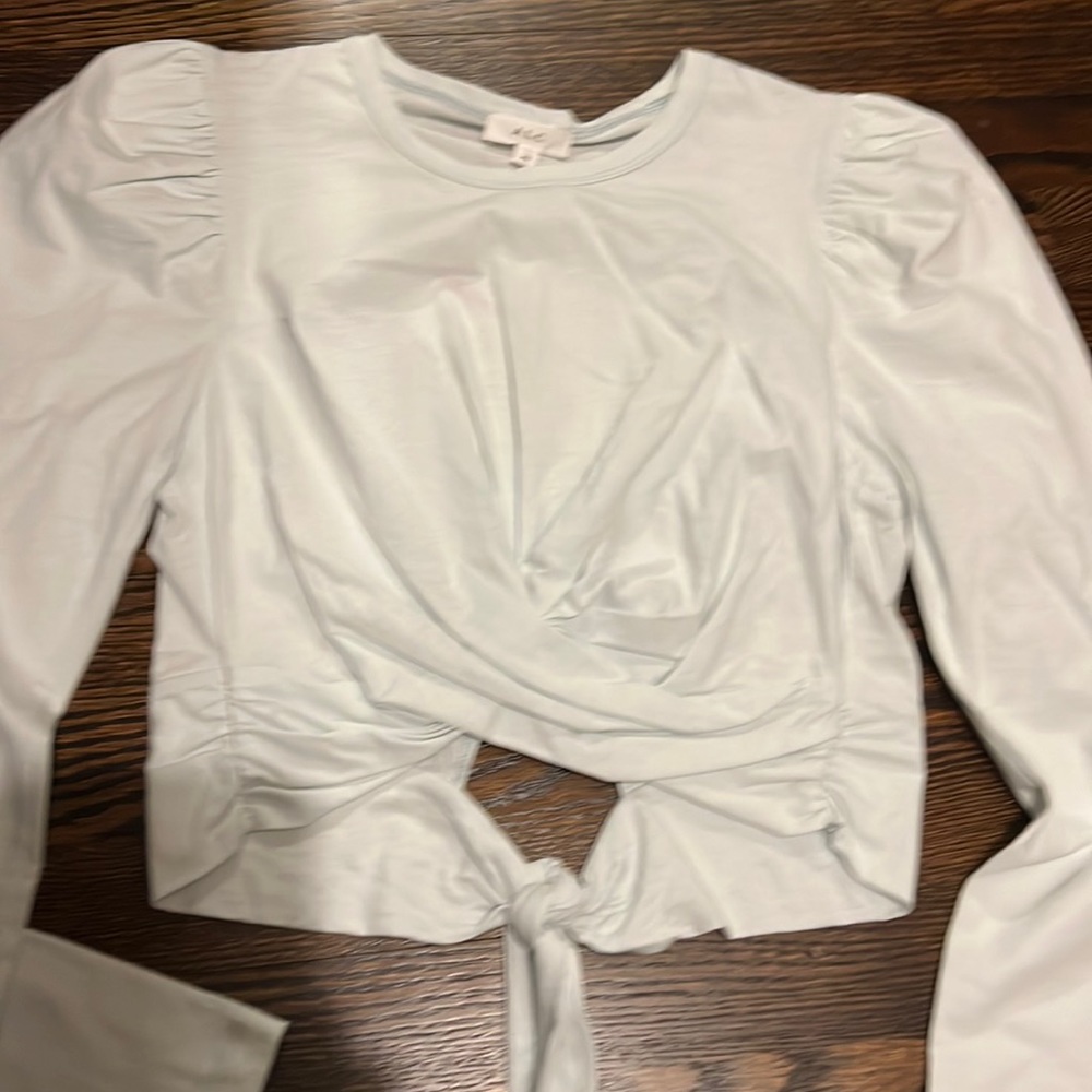 NWT ALC long sleeve crop top - shirred front - back tie - Pintuck sleeve - xs